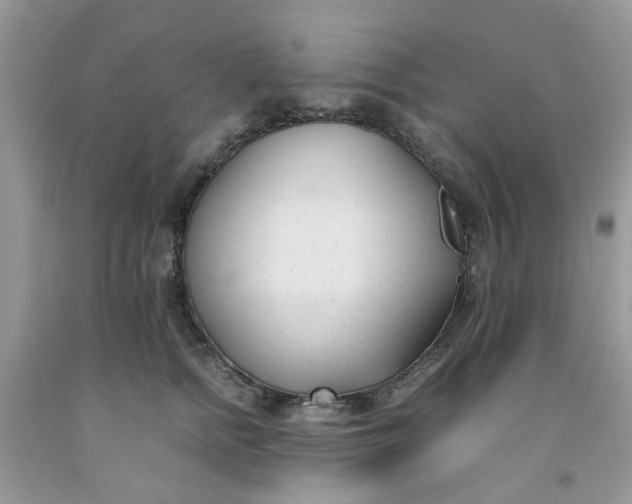 X0000091660758200709061020