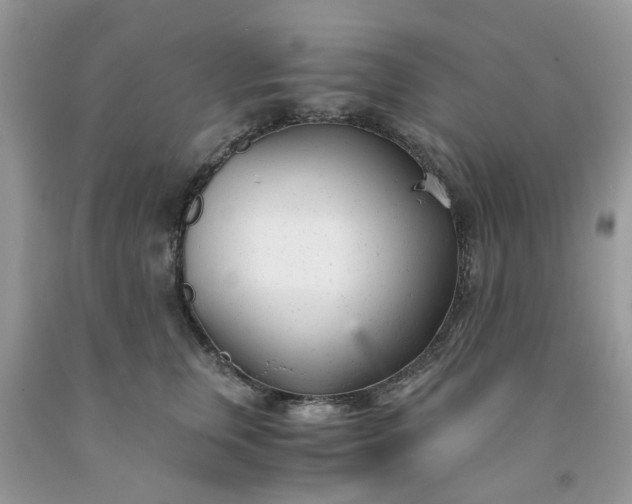 X0000091660759200709061020