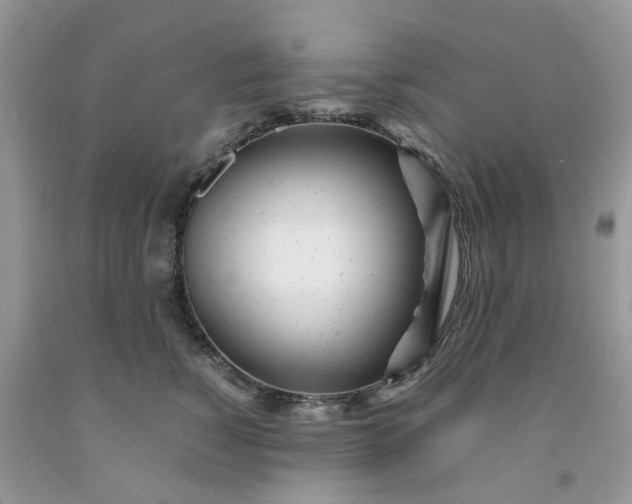 X0000091660760200709061020