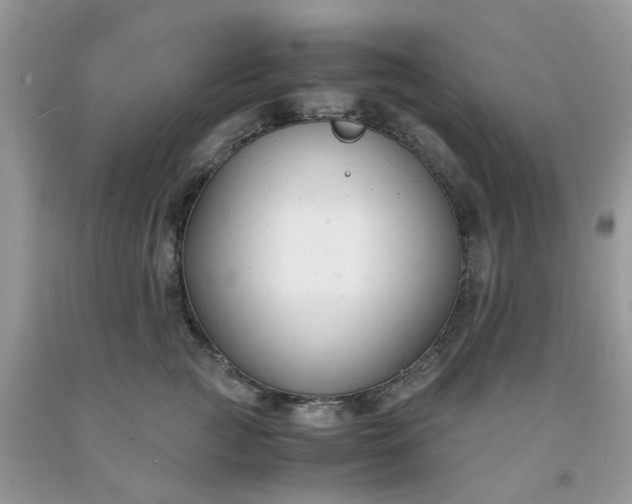 X0000091660761200709061020