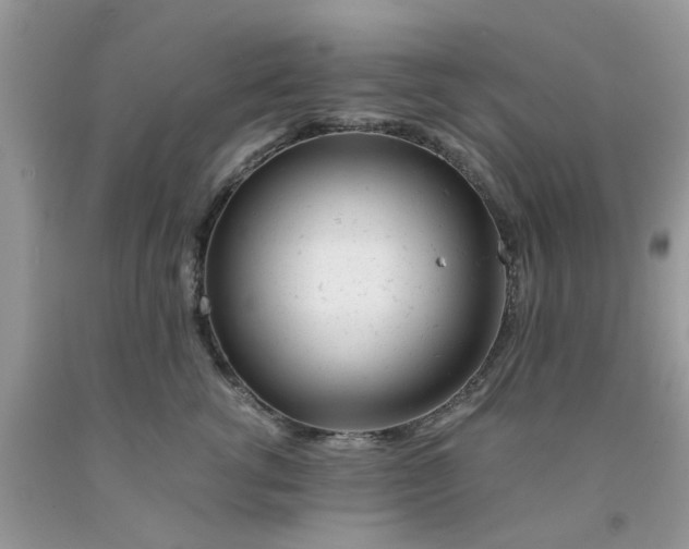 X0000091660762200709061020