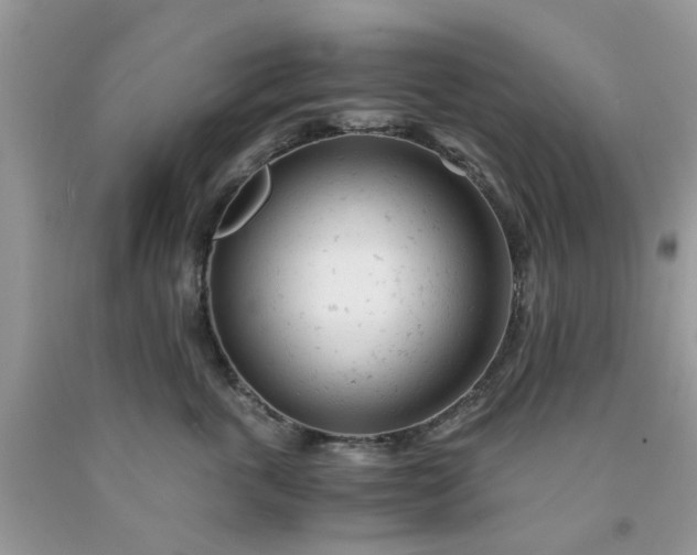 X0000091660763200709061020