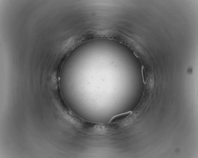 X0000091660764200709061020