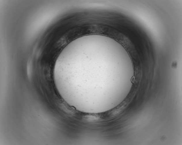 X0000091660765200709061020