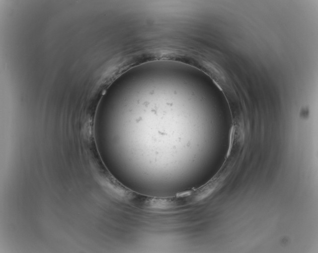 X0000091660766200709061020