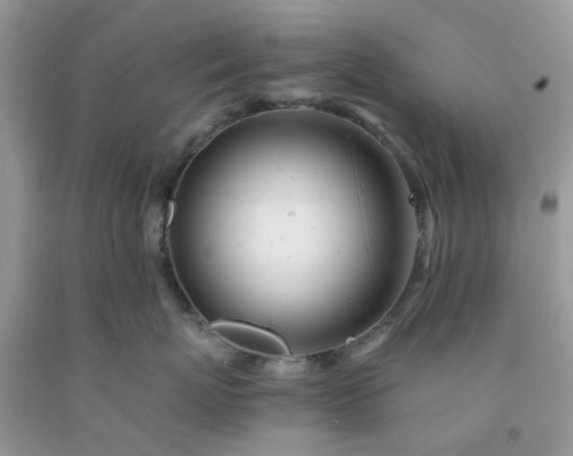 X0000091660767200709061020