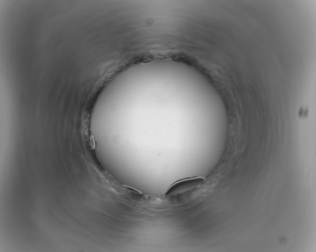 X0000091660768200709061020