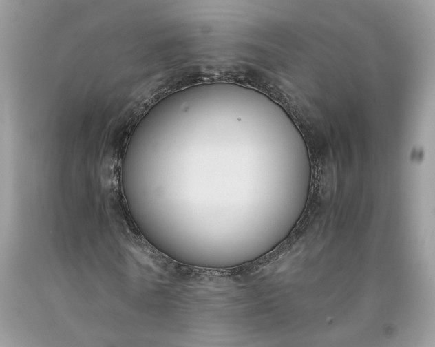 X0000091660770200709061019