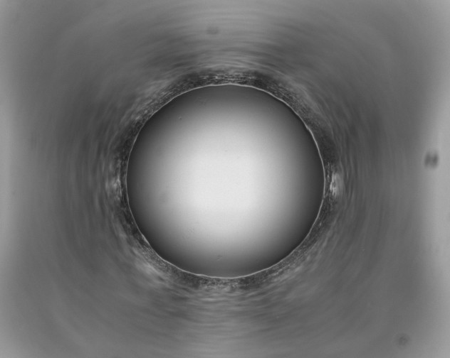 X0000091660771200709061019