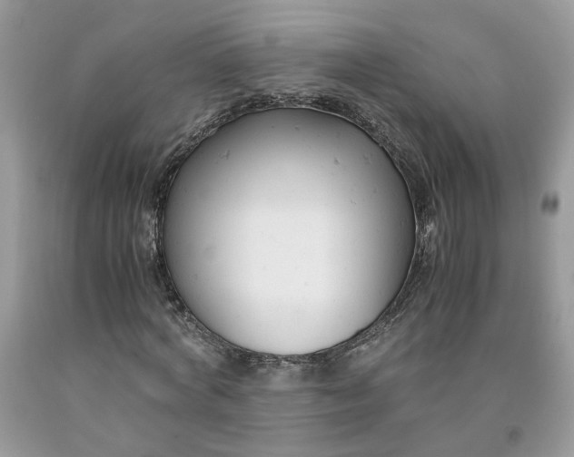 X0000091660772200709061019