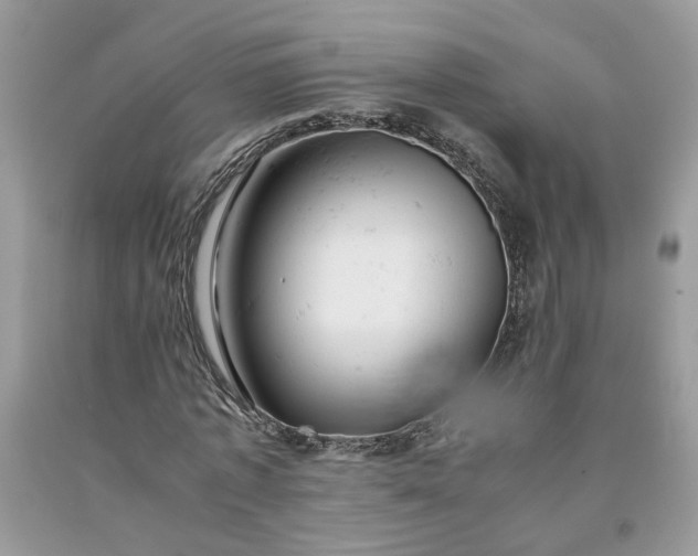 X0000091660773200709061019