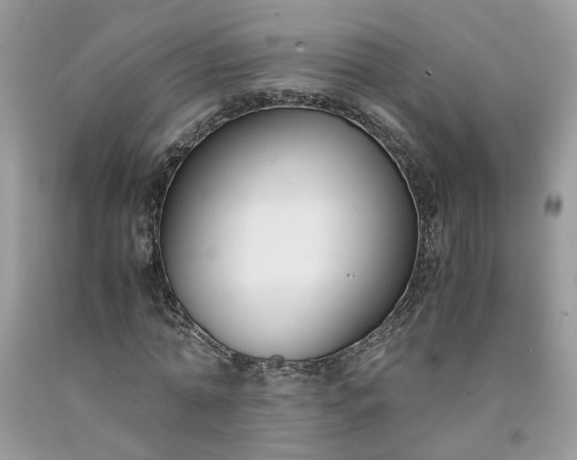 X0000091660774200709061019