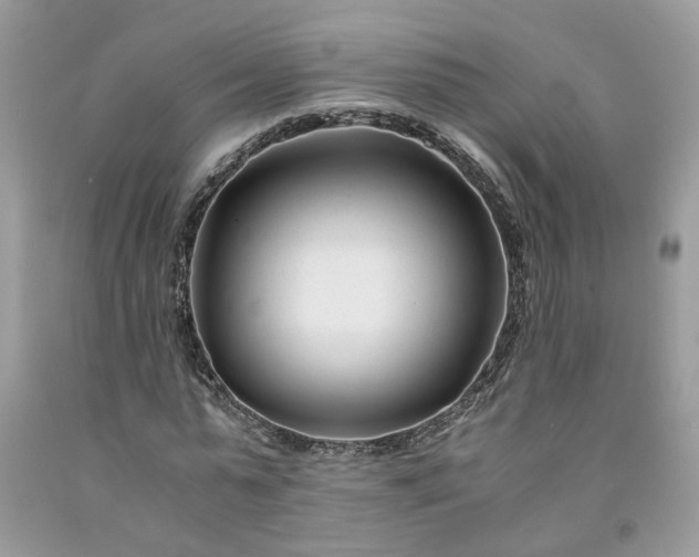 X0000091660775200709061019