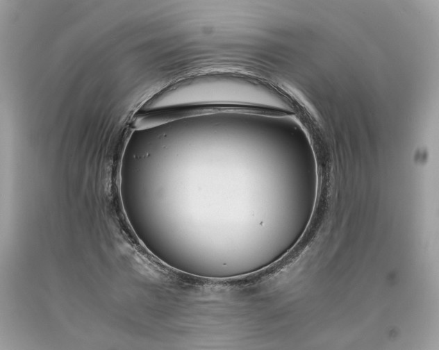 X0000091660777200709061019