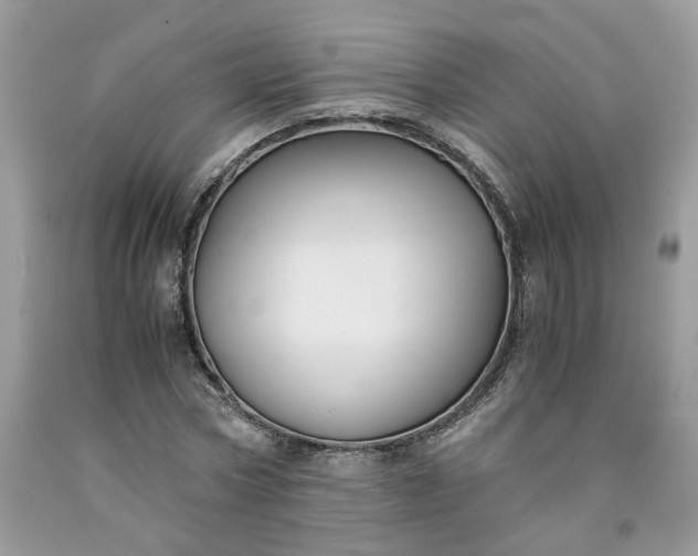 X0000091660778200709061019