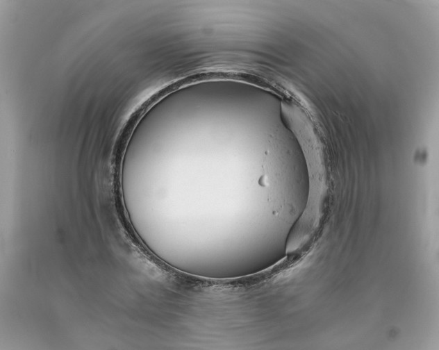 X0000091660779200709061019