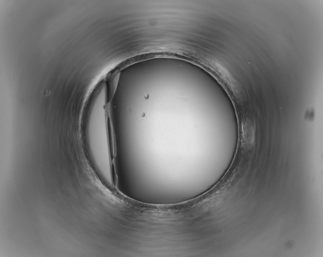 X0000091660780200709061019