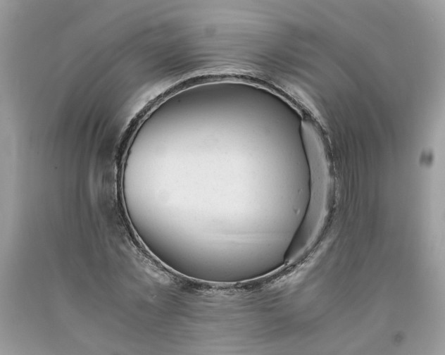 X0000091660781200709061019