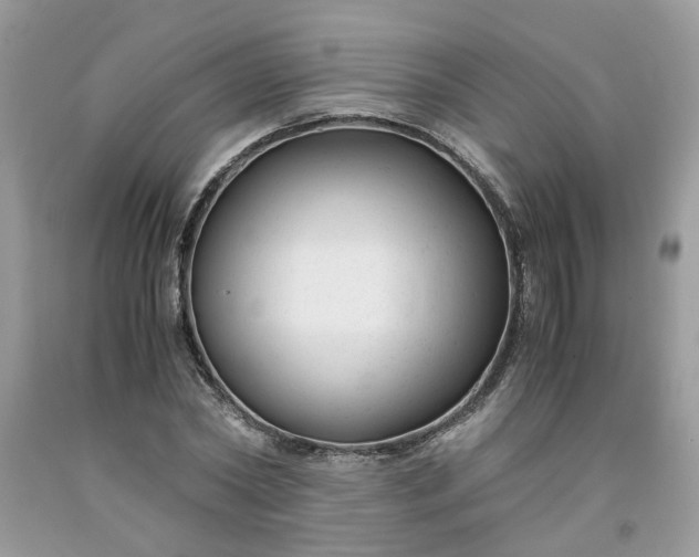 X0000091660782200709061019