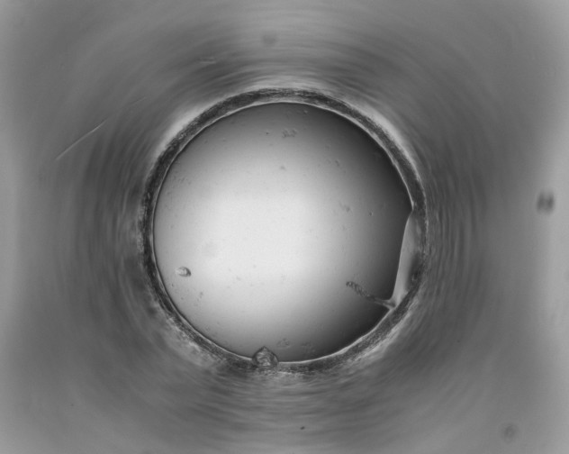 X0000091660783200709061019