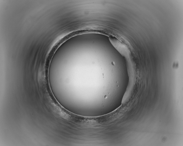 X0000091660784200709061019