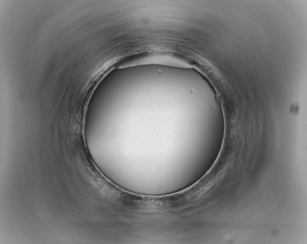 X0000091660785200709061019