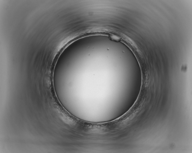 X0000091660786200709061019