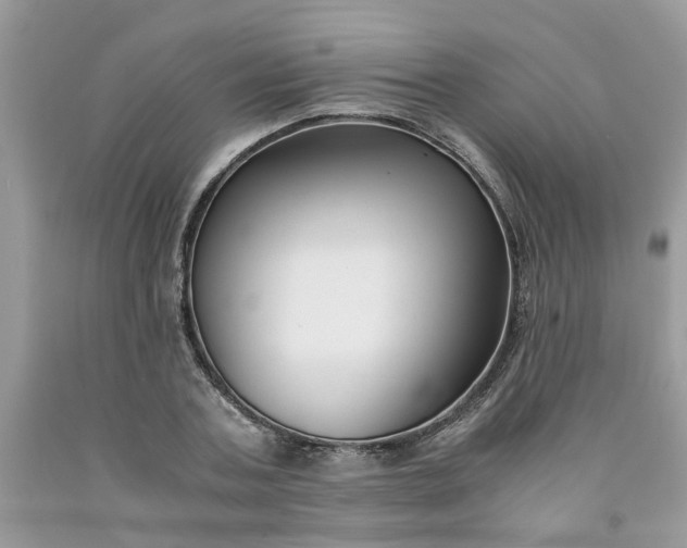 X0000091660787200709061019