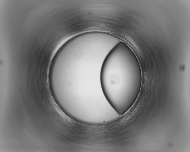 X0000091660788200709061019