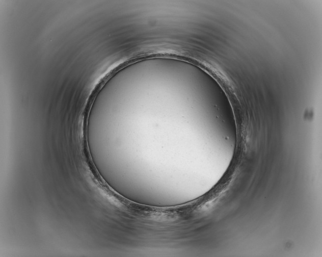 X0000091660790200709061019