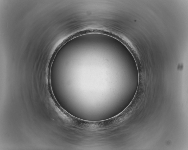 X0000091660791200709061019