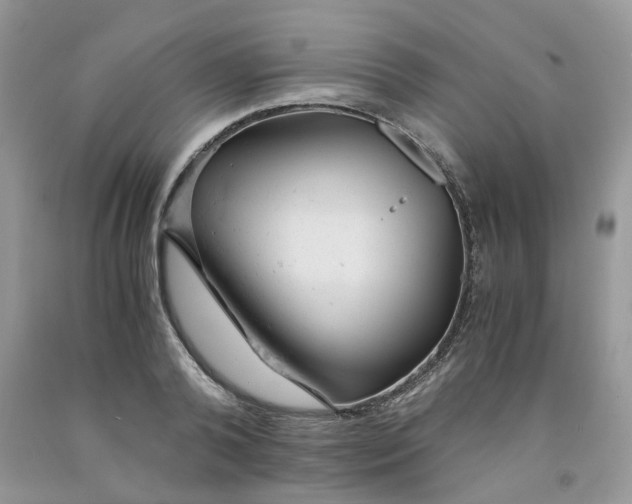 X0000091660792200709061019