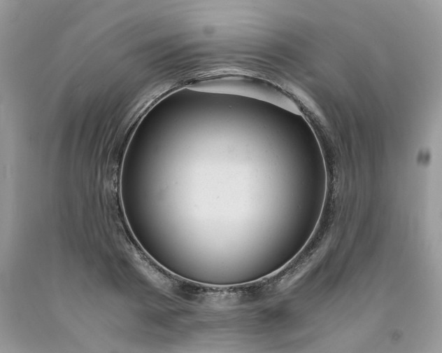 X0000091660793200709061019