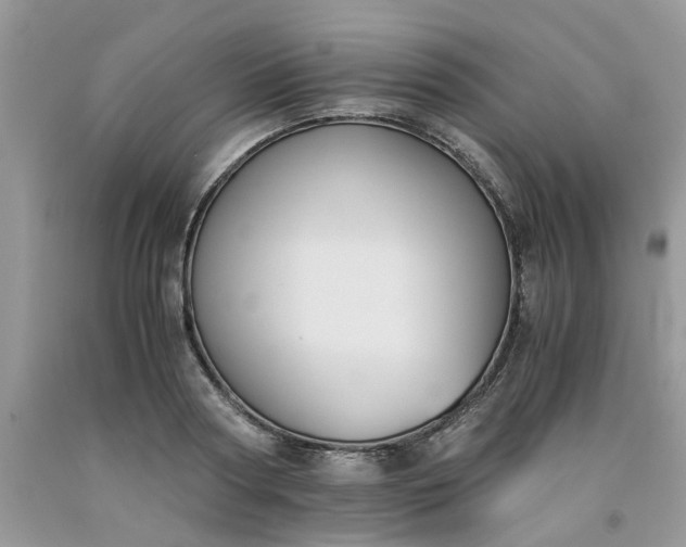 X0000091660794200709061019