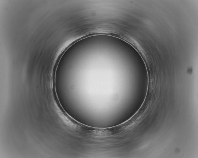 X0000091660795200709061019