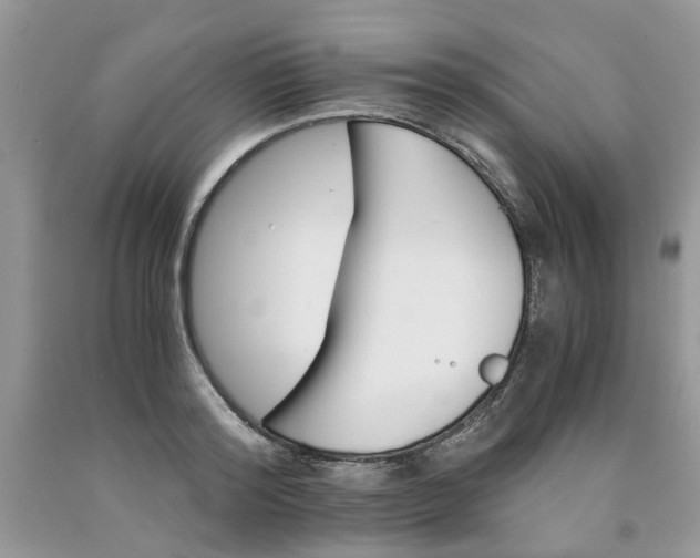 X0000091660796200709061019