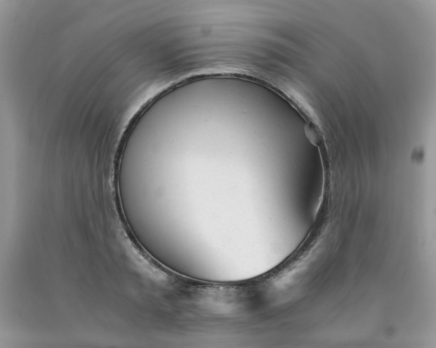 X0000091660797200709061019