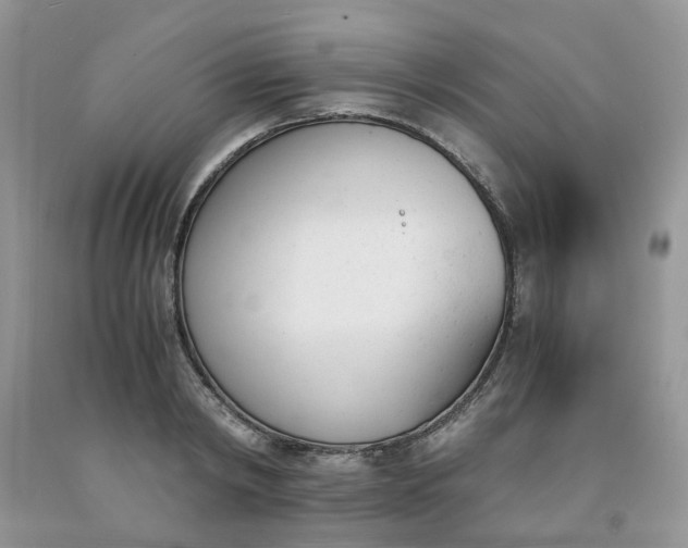 X0000091660798200709061019