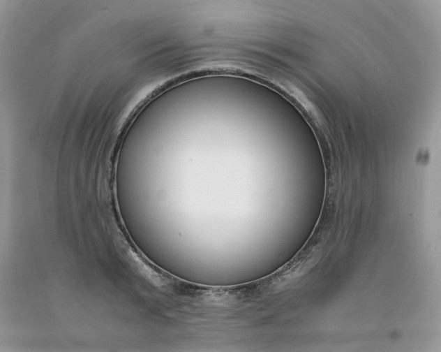 X0000091660799200709061019