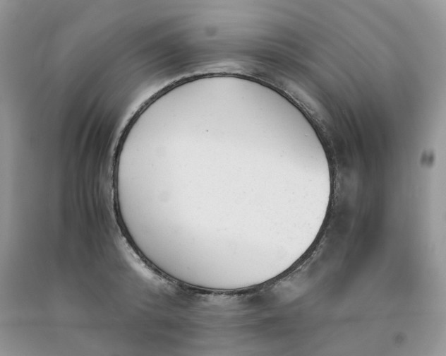 X0000091660800200709061019