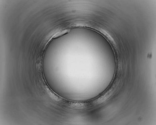 X0000091660801200709061019