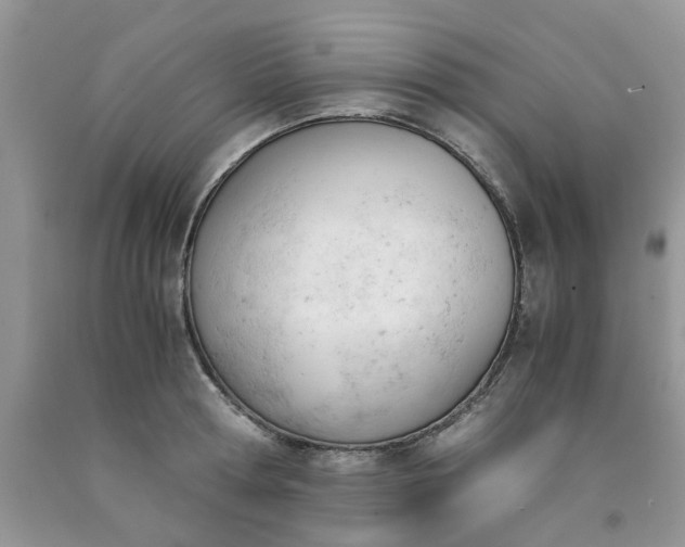 X0000091660802200709061019