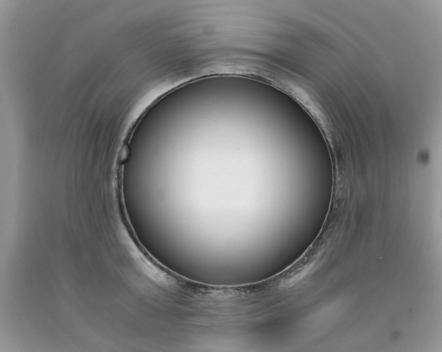 X0000091660803200709061019