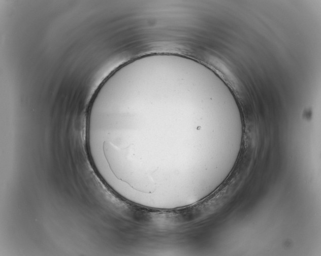 X0000091660804200709061019