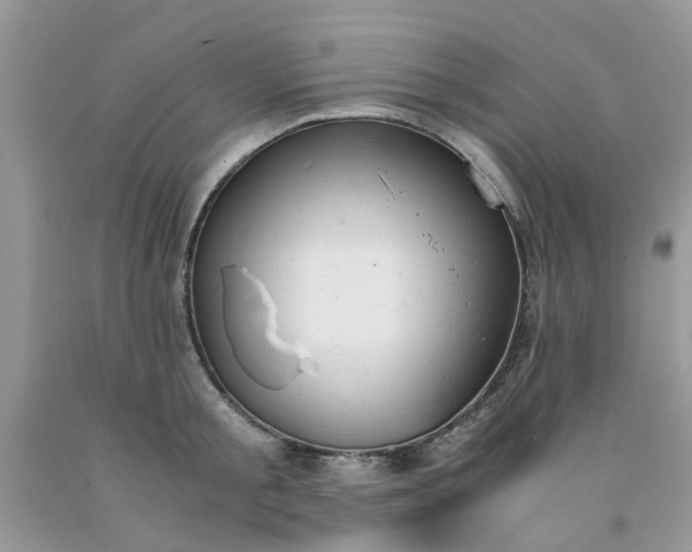 X0000091660805200709061019