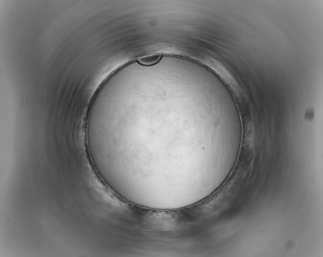 X0000091660806200709061019