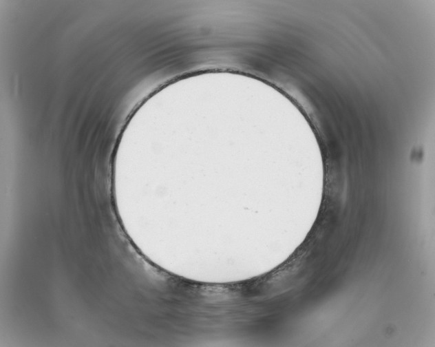 X0000091660807200709061019