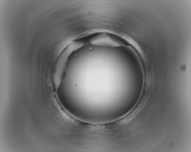 X0000091660809200709061019