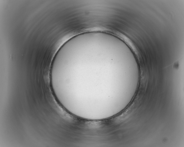 X0000091660810200709061019