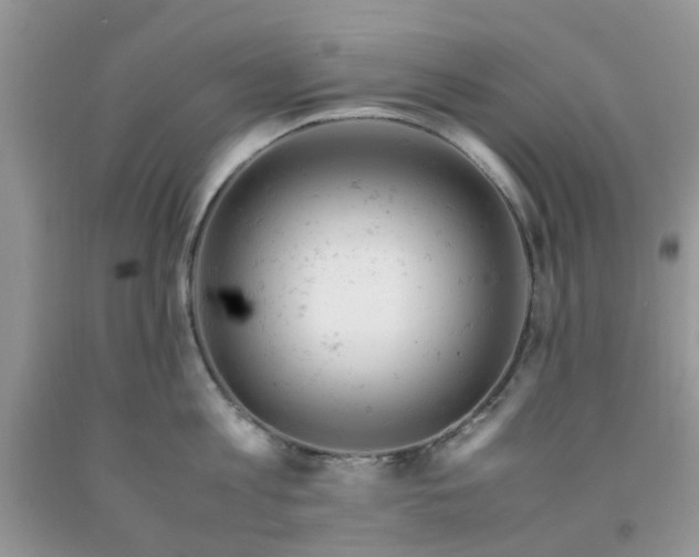 X0000091660813200709061019